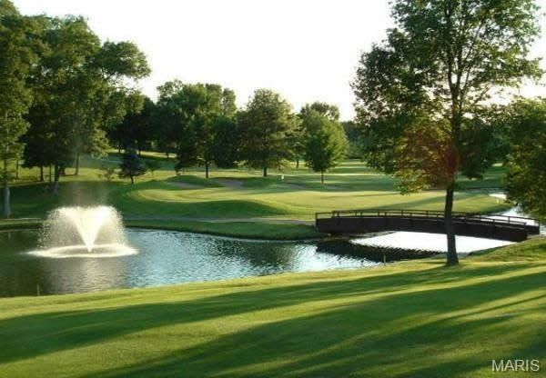 220 Kerry Downs Drive. O Fallon, MO 63368