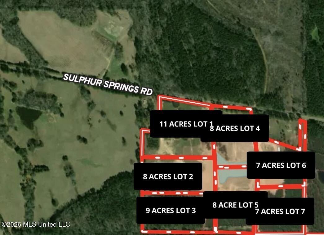 Sulphur Springs Road Lot 2. Canton, MS 39046