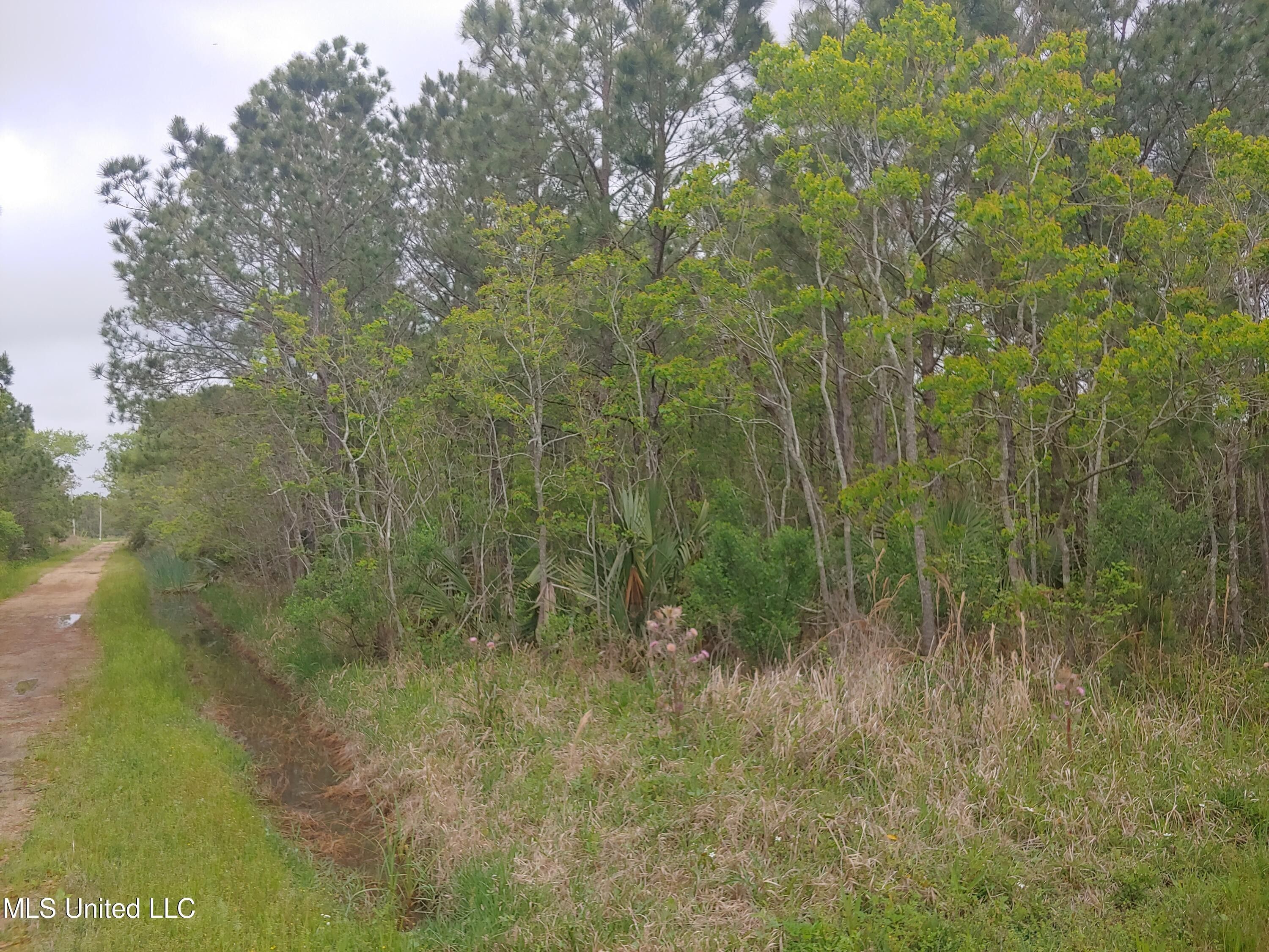 23Rd Avenue Lot 31. Bay Saint Louis, MS 39520