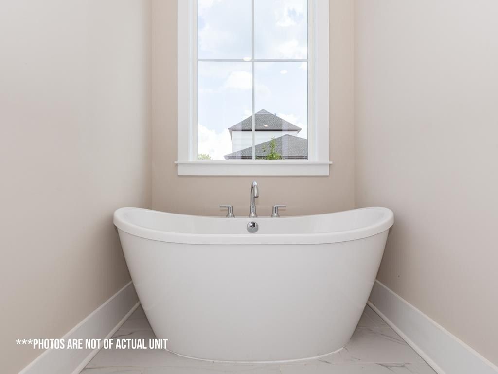 1221 Ivy Road. Oxford, MS 38655