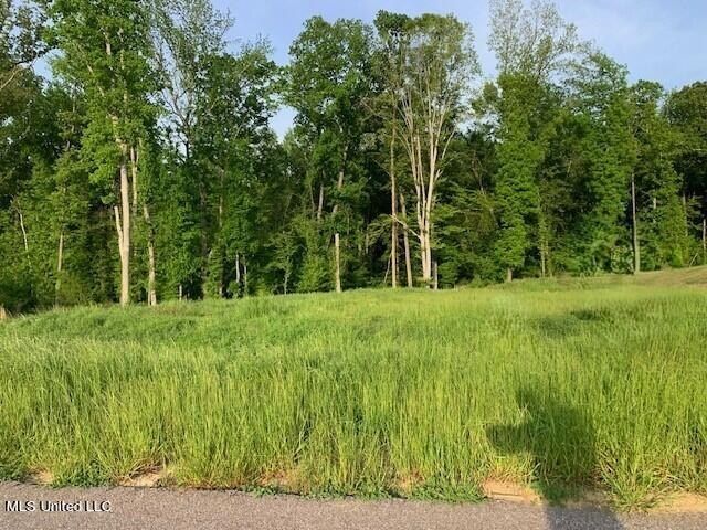 2914 S Cypress Lake Drive Lot 54. Olive Branch, MS 38654