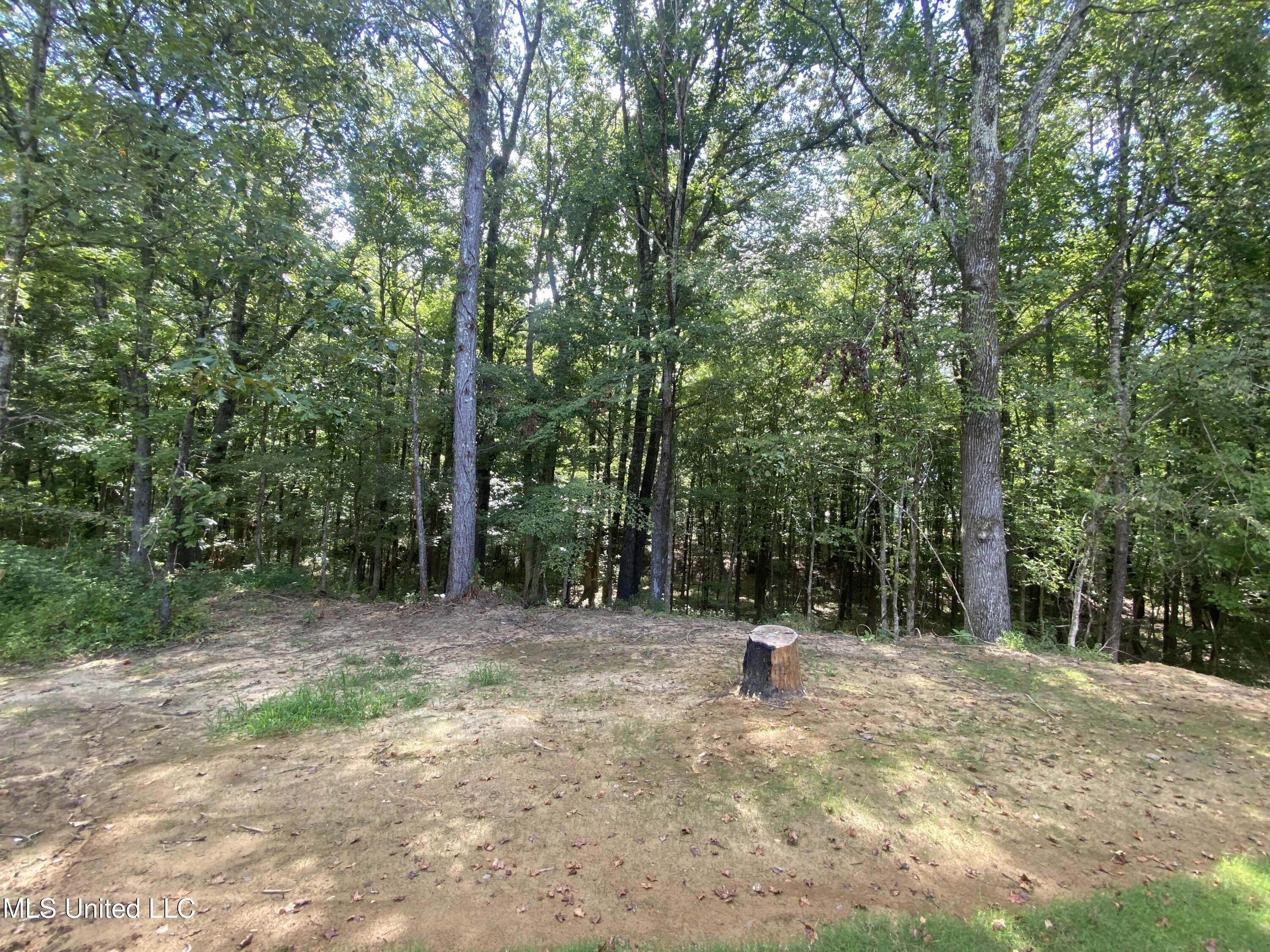 1930 Smart Road. Como, MS 38619