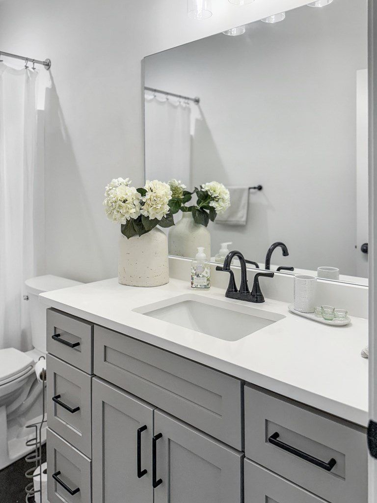 512 County Road 445. Oxford, MS 38655