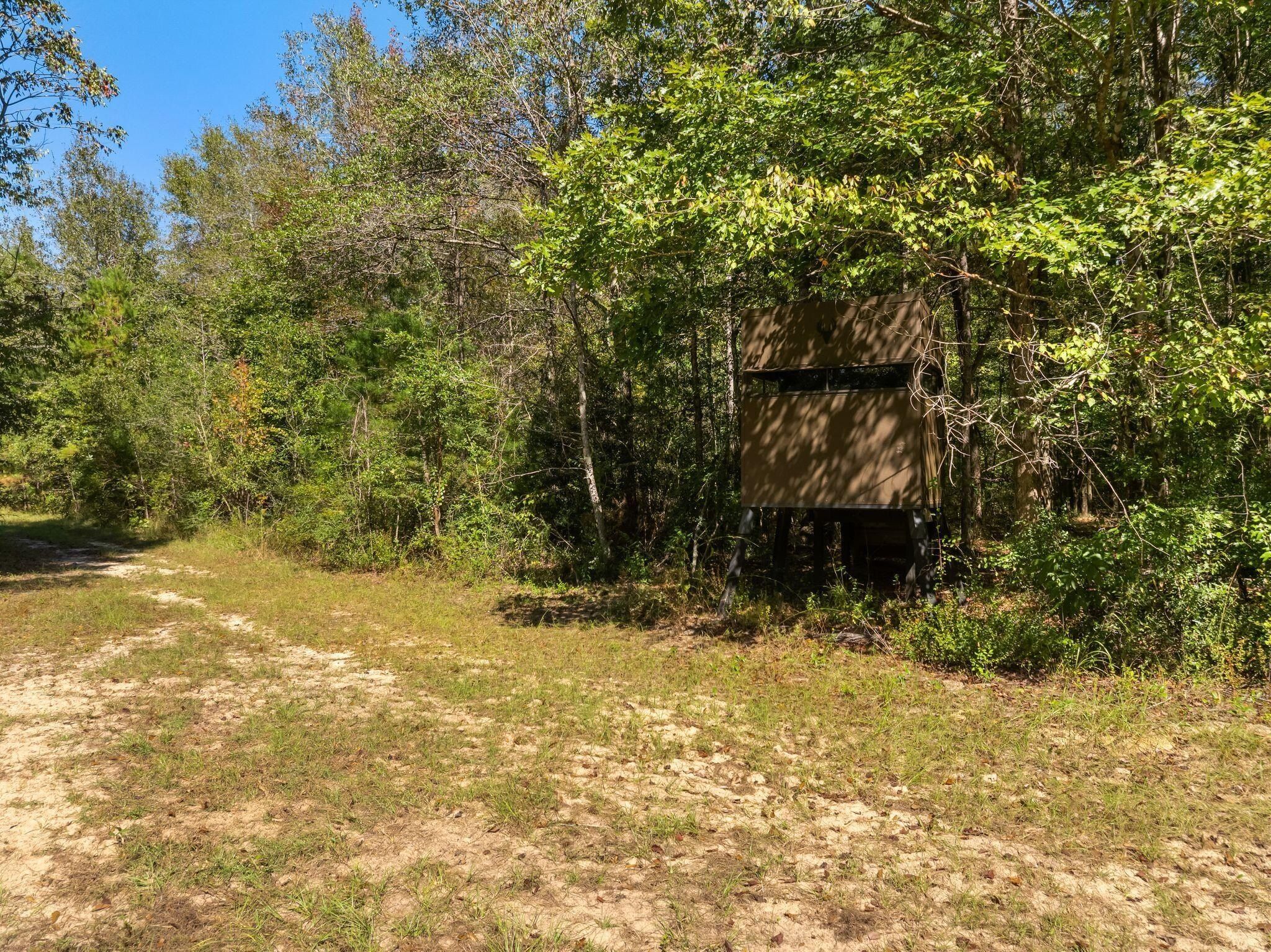 274 Game Reserve Rd. Columbia, MS 39429