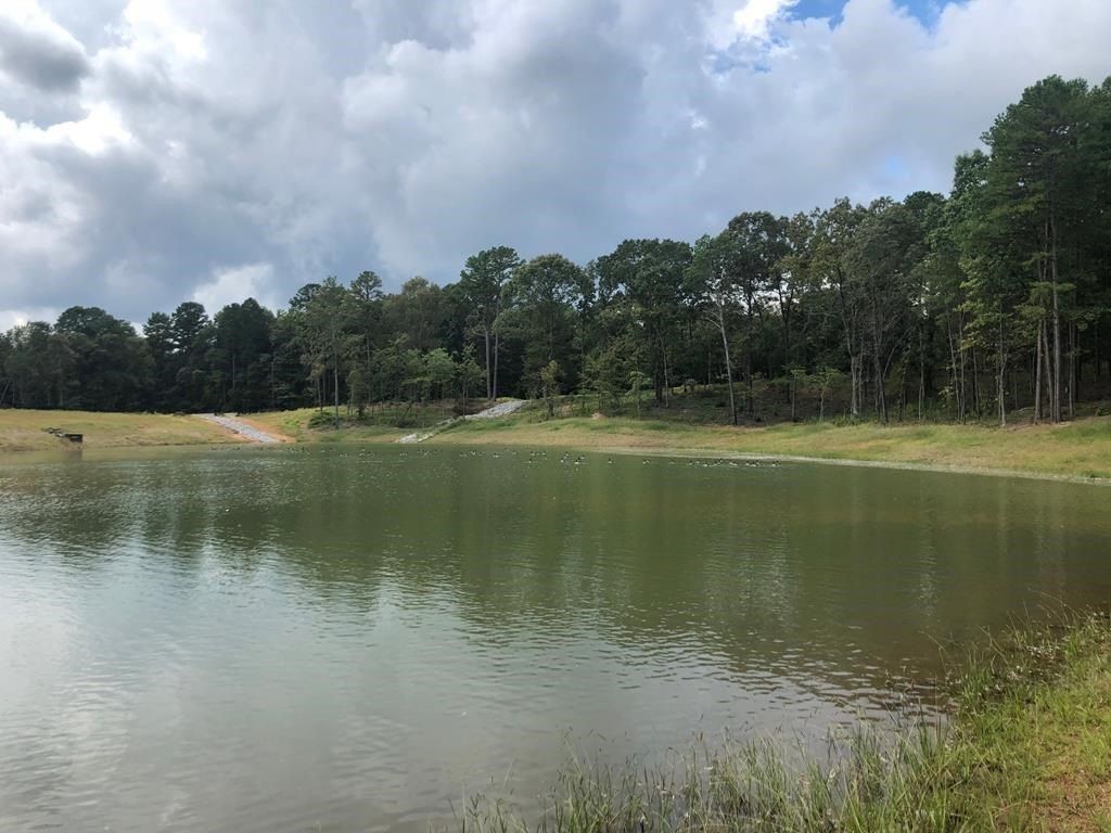 914 Georgia Oak Cove. Oxford, MS 38655