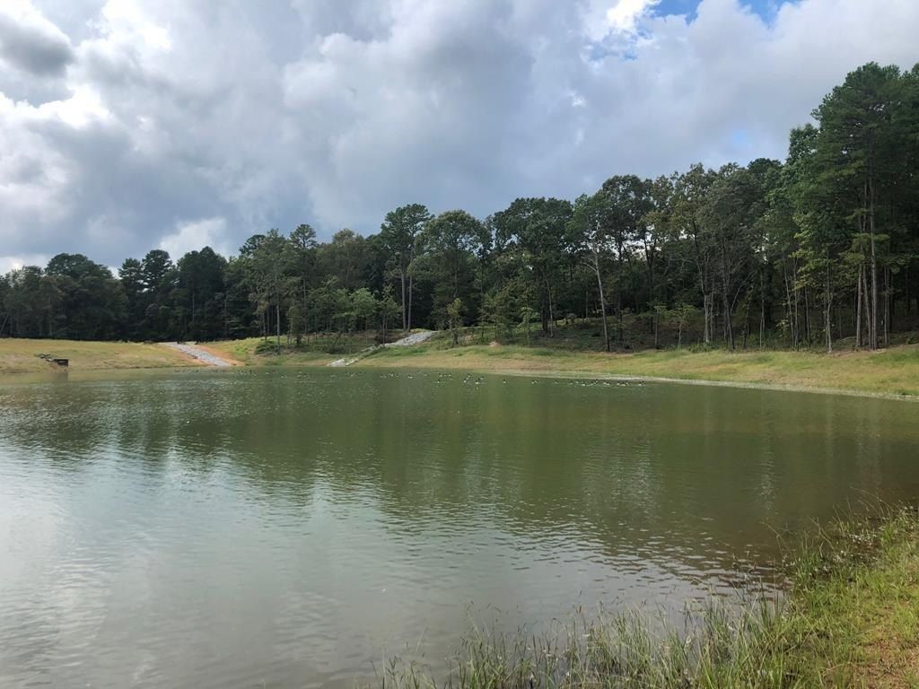 810 Bear Oak Pointe. Oxford, MS 38655