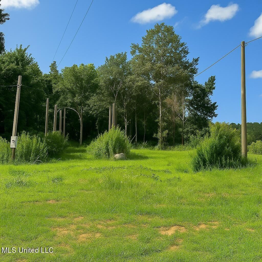 66 Pete Freeman Road. Decatur, MS 39327