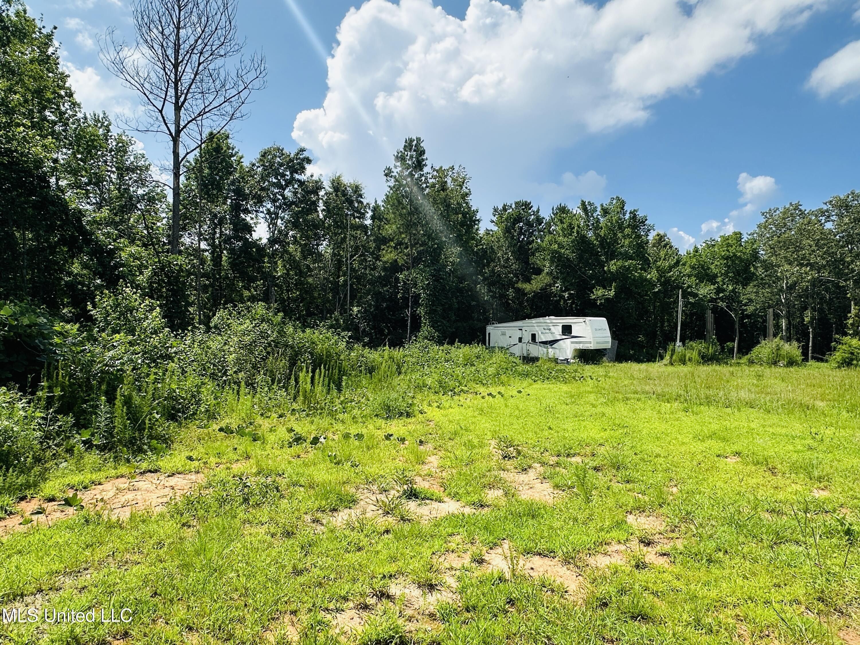 66 Pete Freeman Road. Decatur, MS 39327