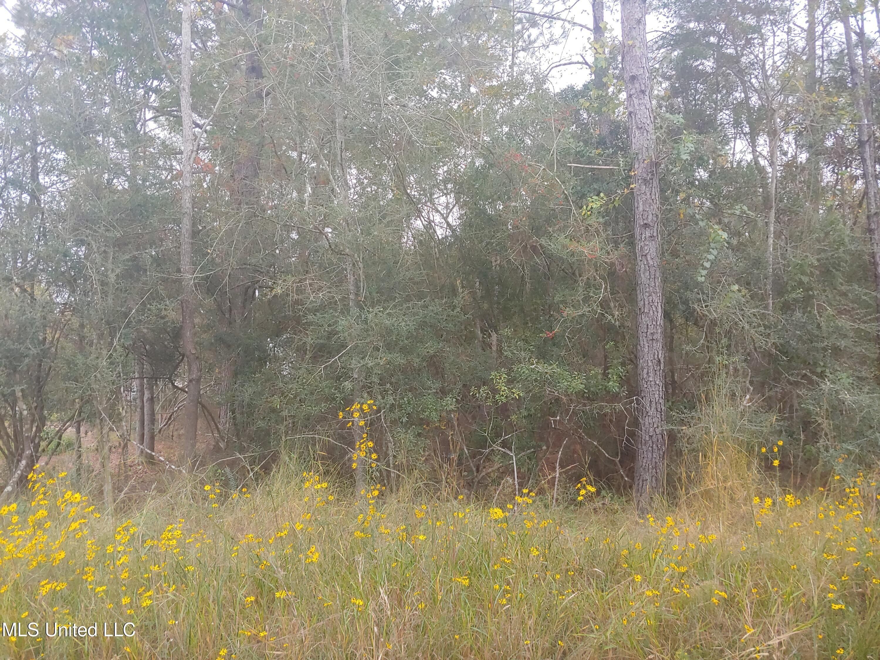 E Marion Street Lot 50. Bay Saint Louis, MS 39520