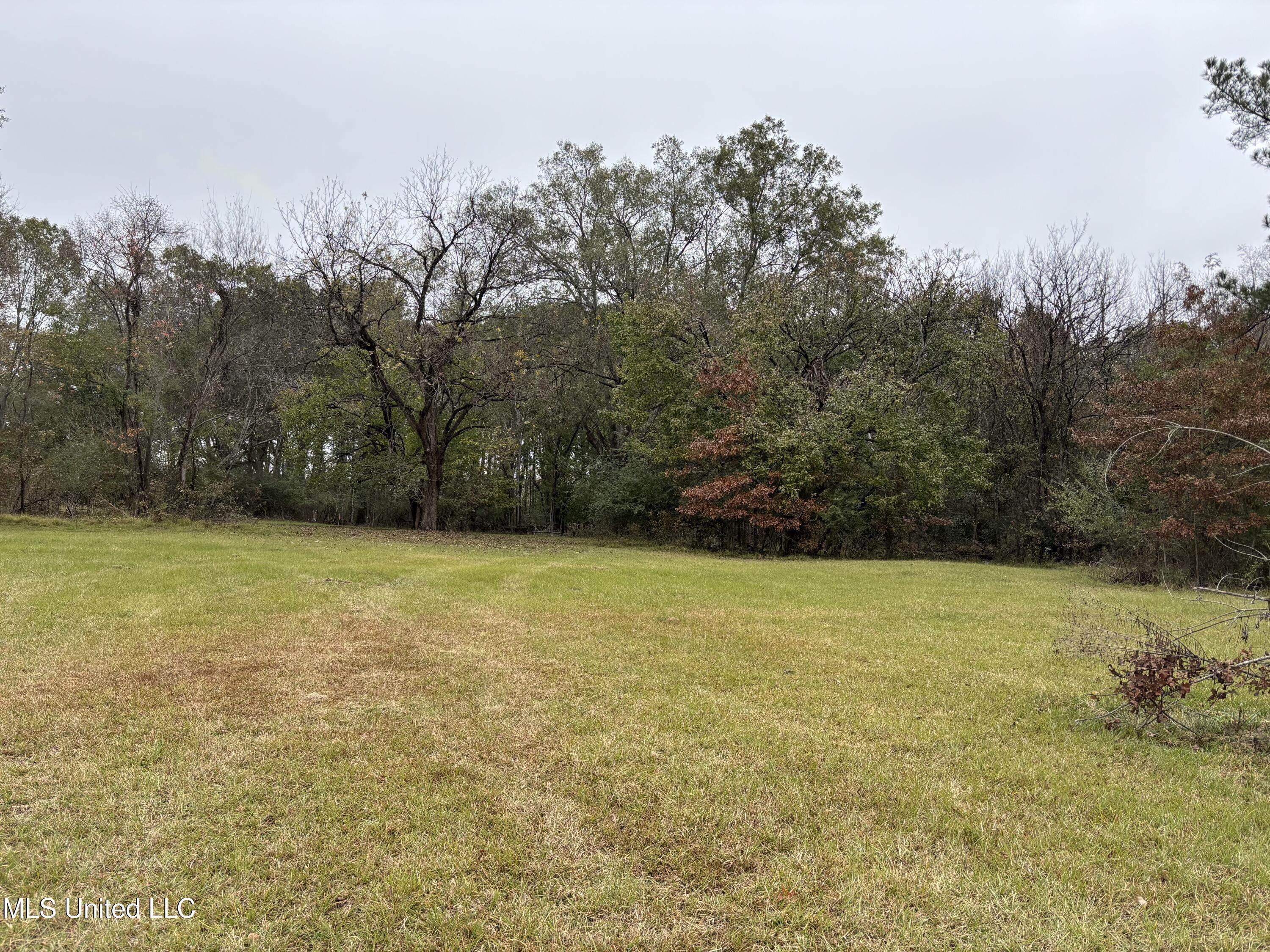 Harris Lane. Madison, MS 39110