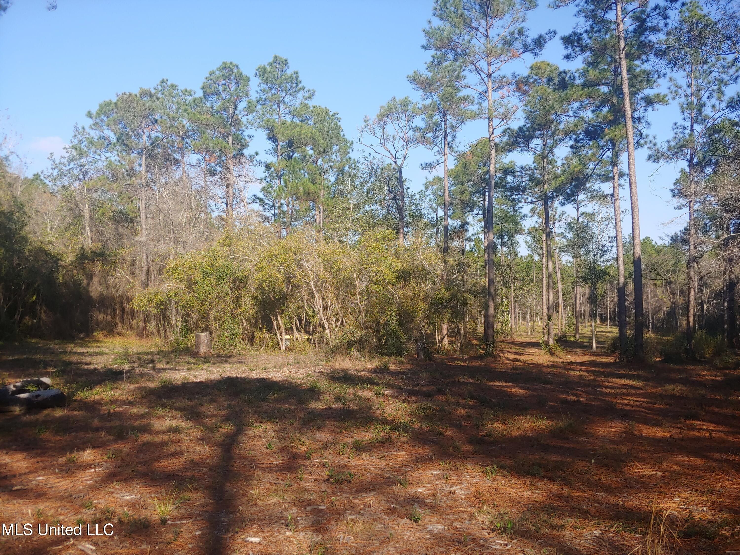 Nhn E Crazy Horse Drive Lot 9. Kiln, MS 39556