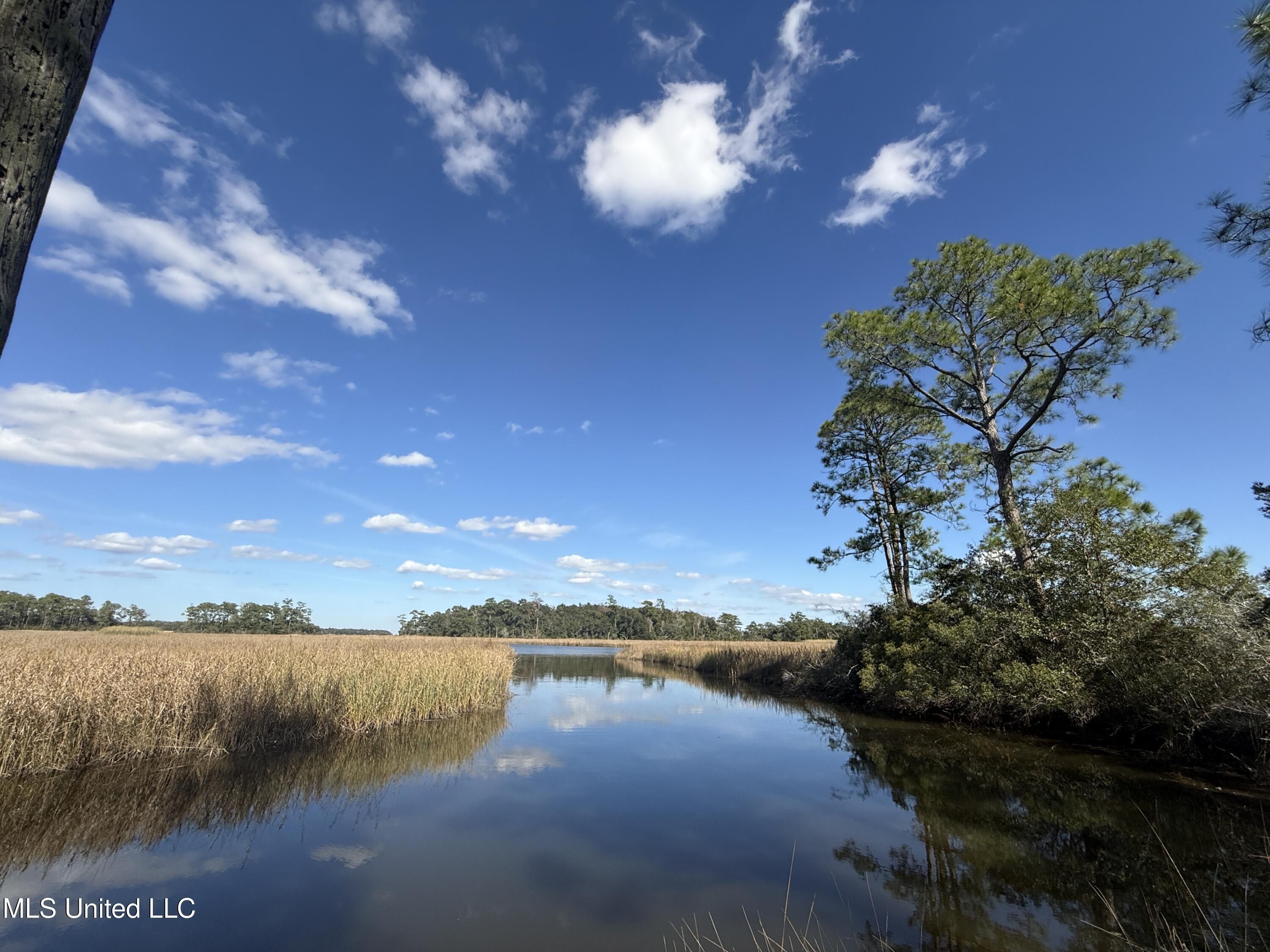 1208 De La Pointe Drive. Gautier, MS 39553