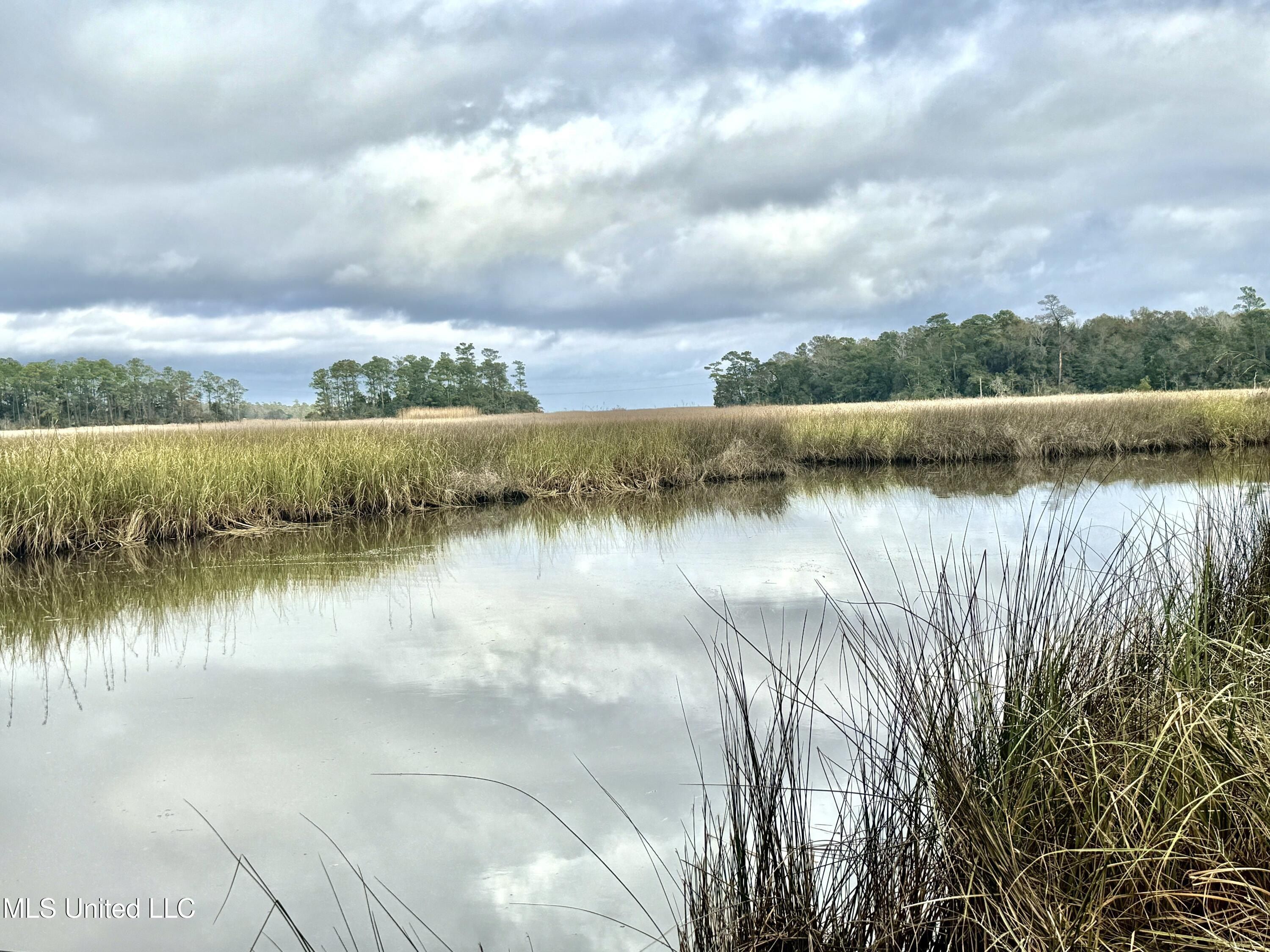 1208 De La Pointe Drive. Gautier, MS 39553