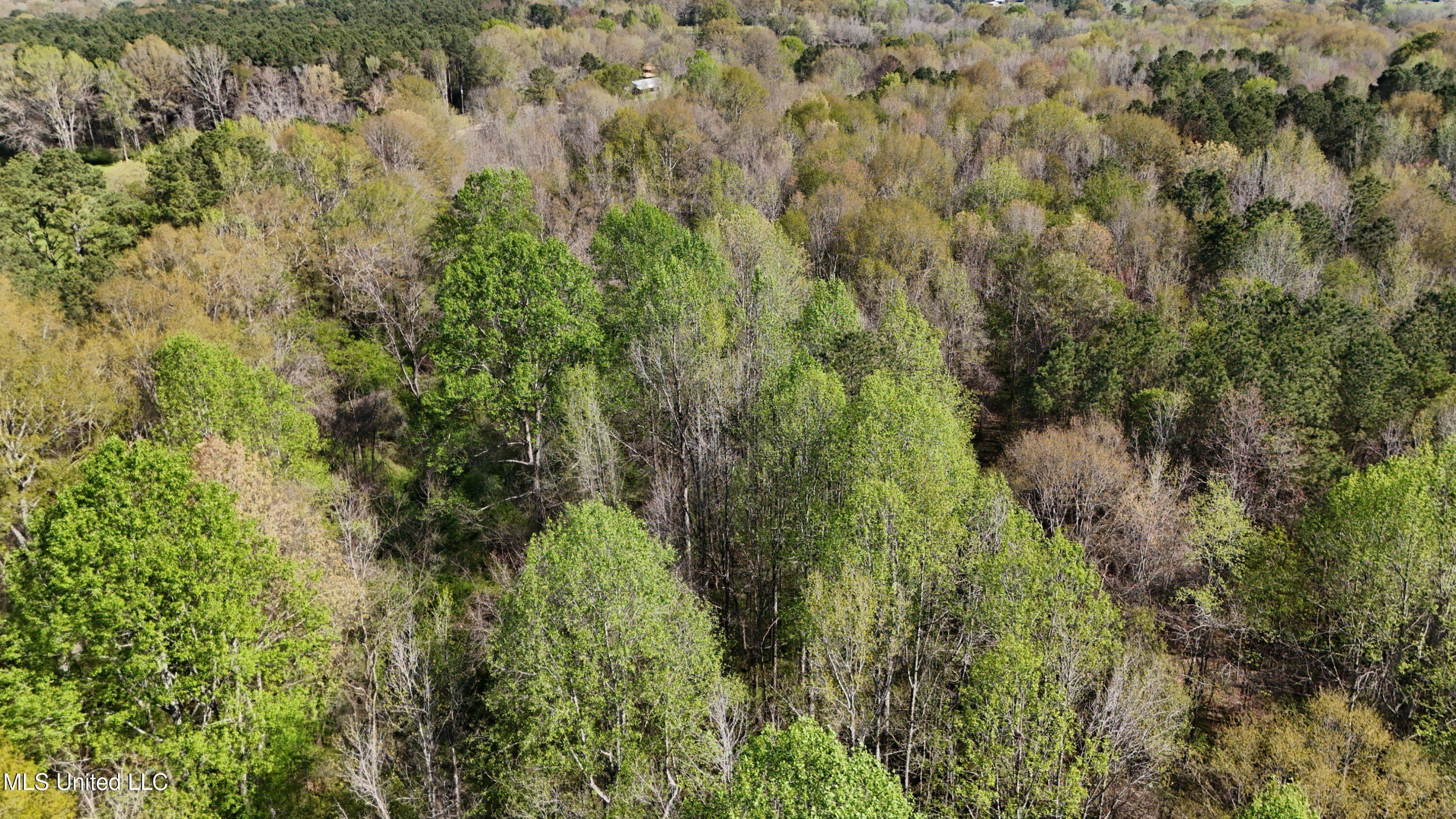 Thrash Road. Conehatta, MS 39057