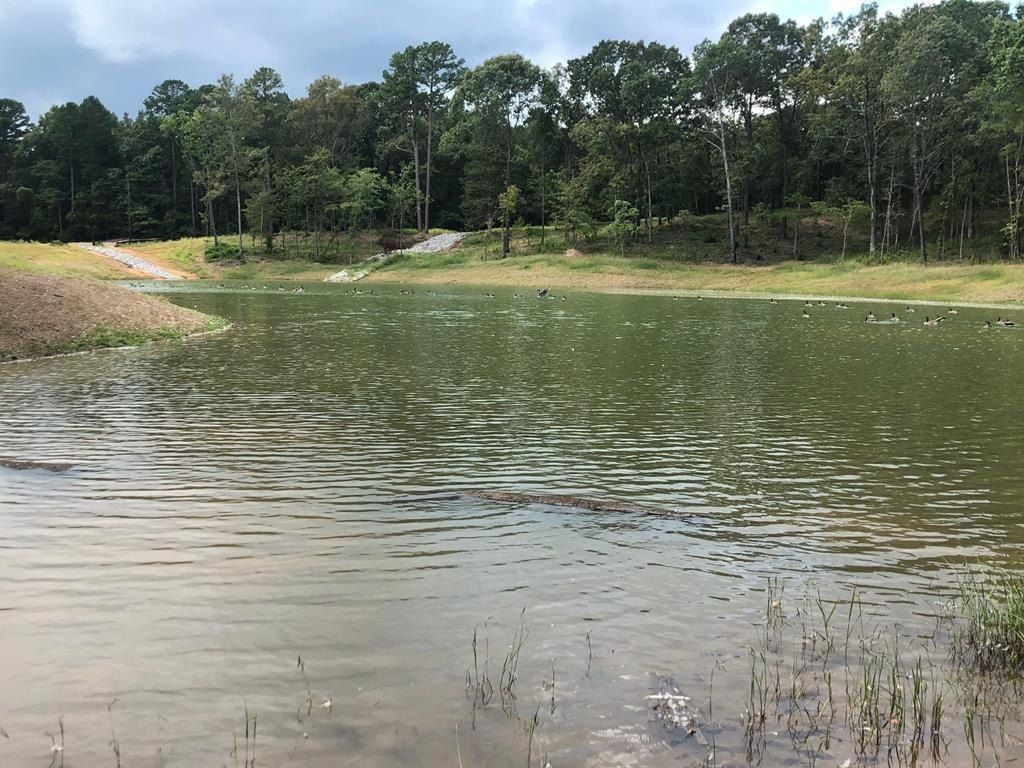 931 Georgia Oak Cove. Oxford, MS 38655