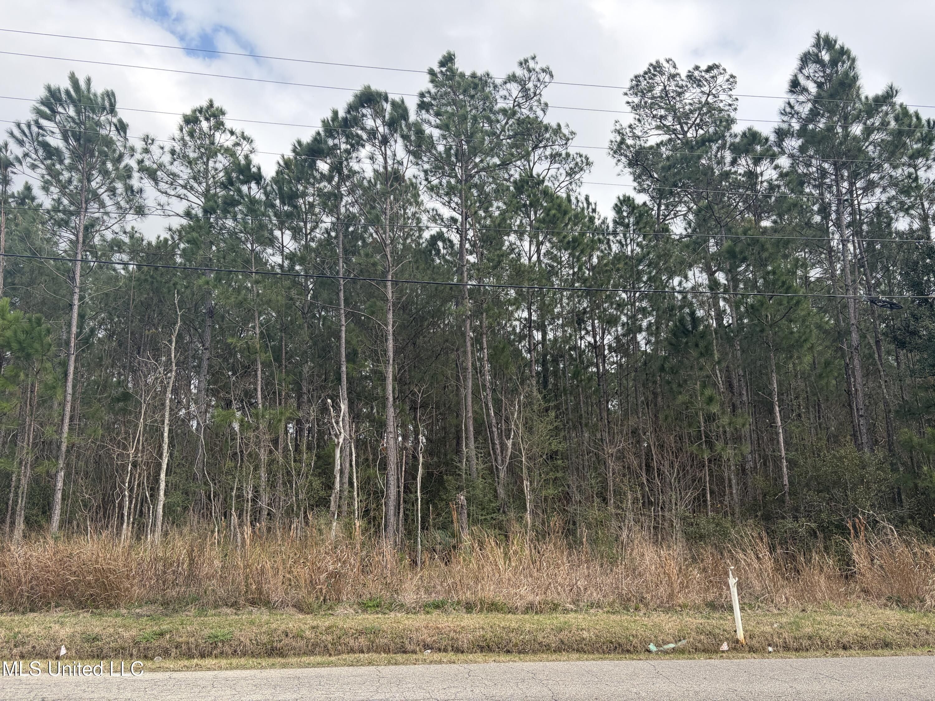 Nhn Tigris Street. Bay Saint Louis, MS 39520