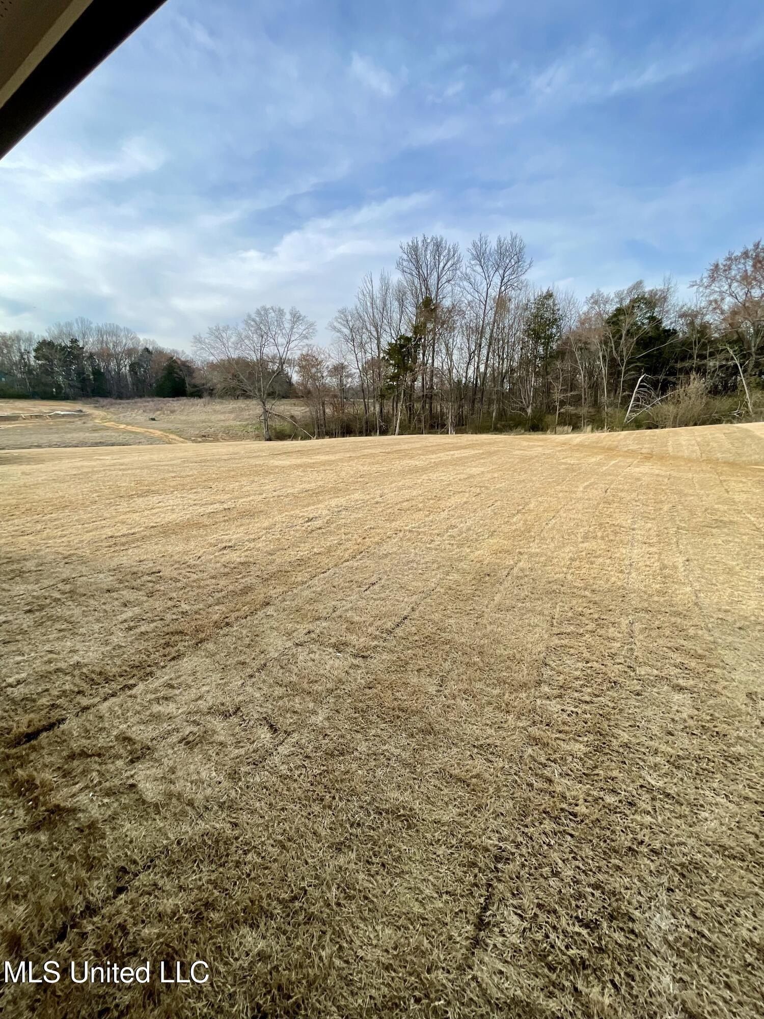 214 Farley Road. Byhalia, MS 38611