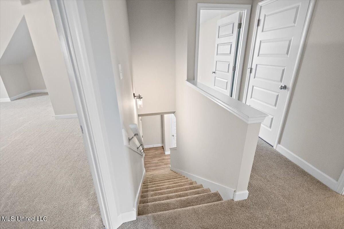 13854 Molly Madeline Lane. Olive Branch, MS 38654