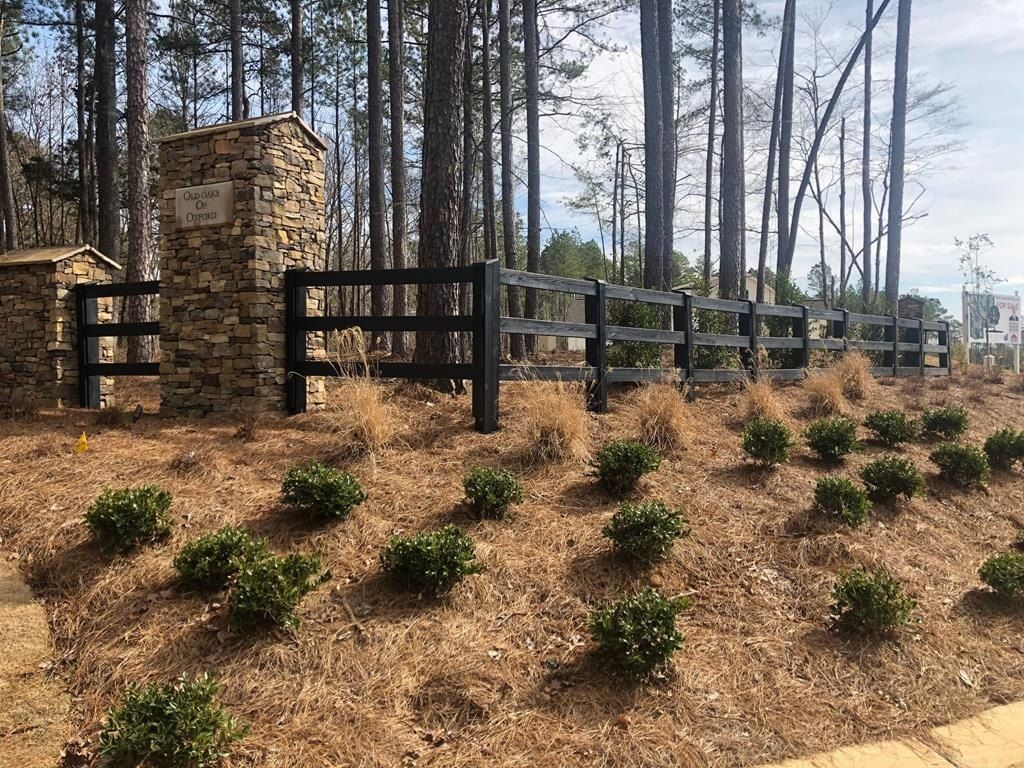 938 Georgia Oak Cove. Oxford, MS 38655