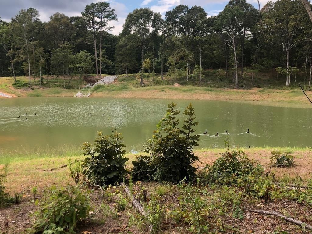 941 Georgia Oak Cove. Oxford, MS 38655
