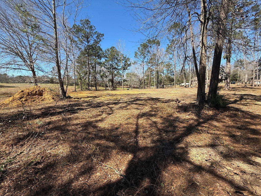 55 Bay Meadows Dr. Carriere, MS 39426