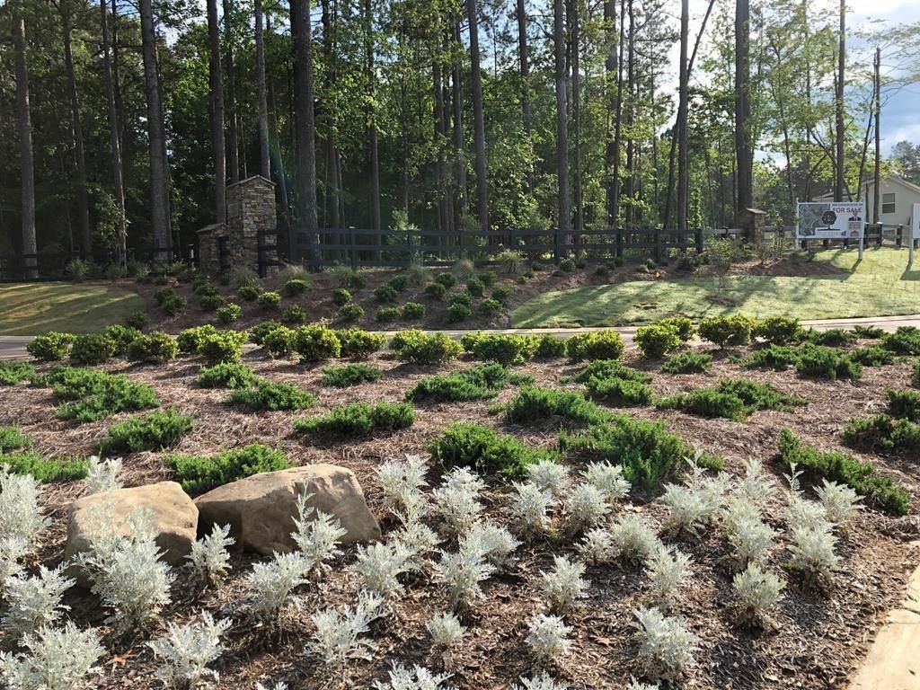 944 Georgia Oak Cove. Oxford, MS 38655