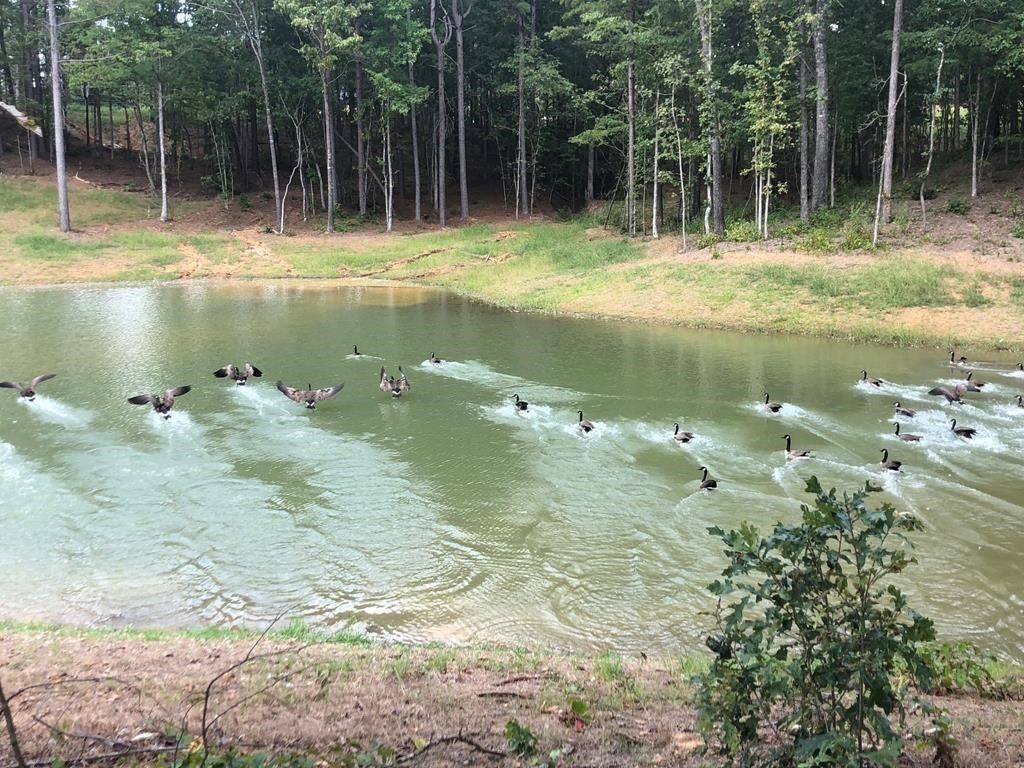 1002 Nuttall Oak Drive. Oxford, MS 38655