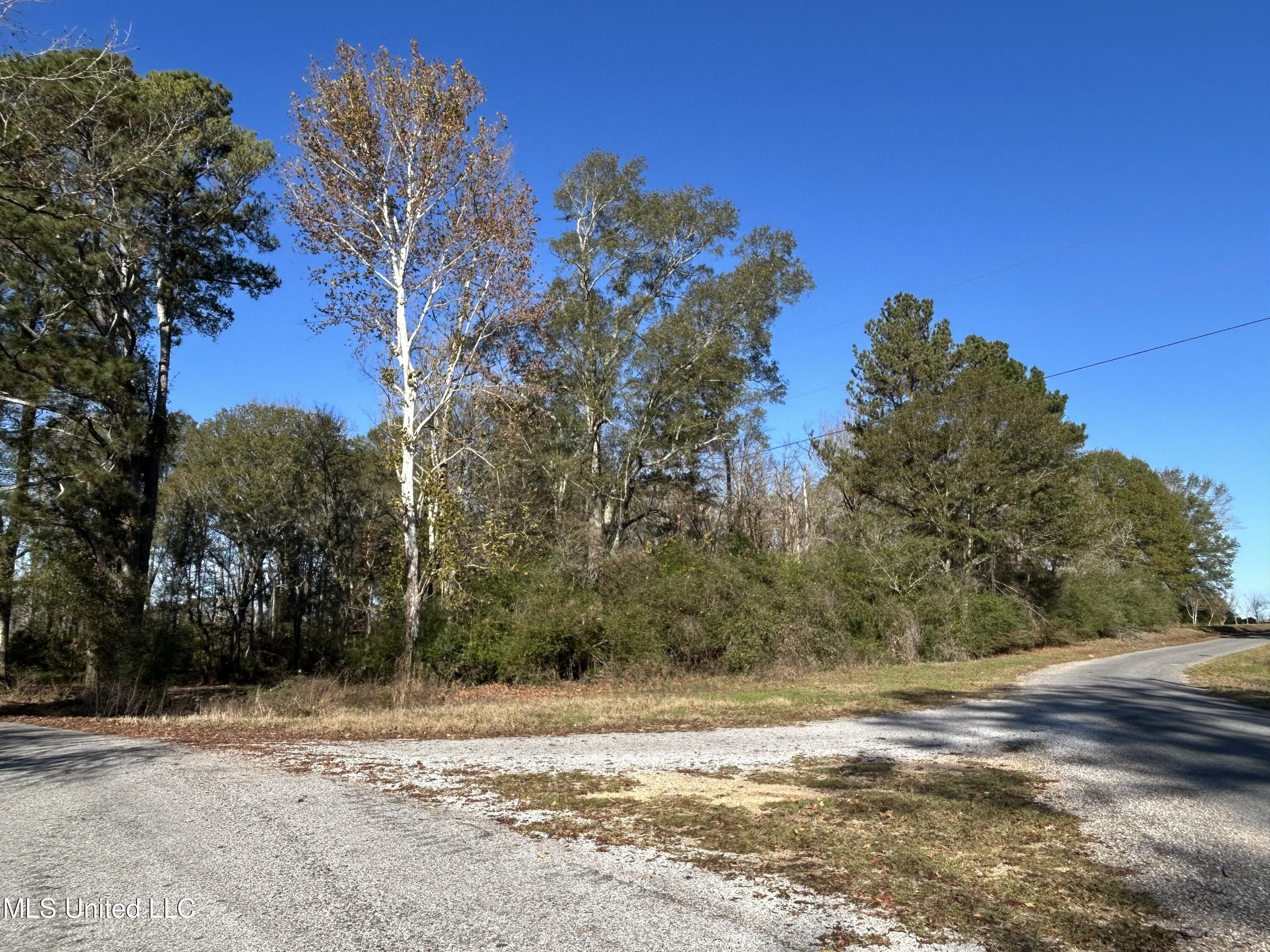 Warren Cook Road. Mendenhall, MS 39114