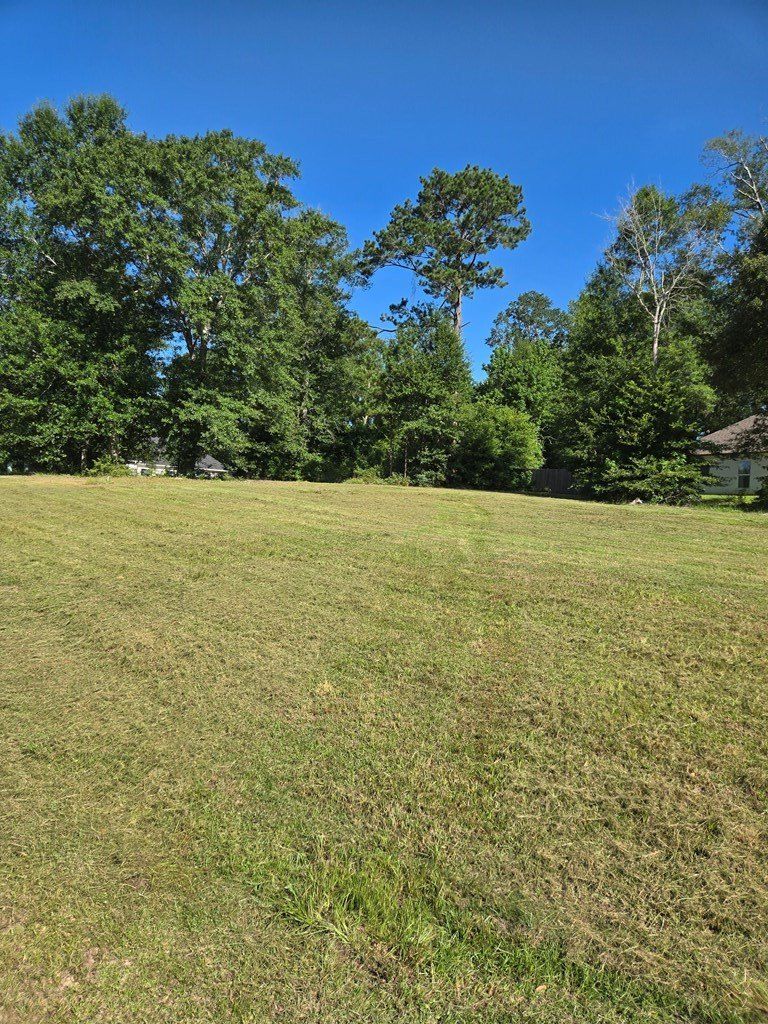 17 Forrest View Drive. Carriere, MS 39426