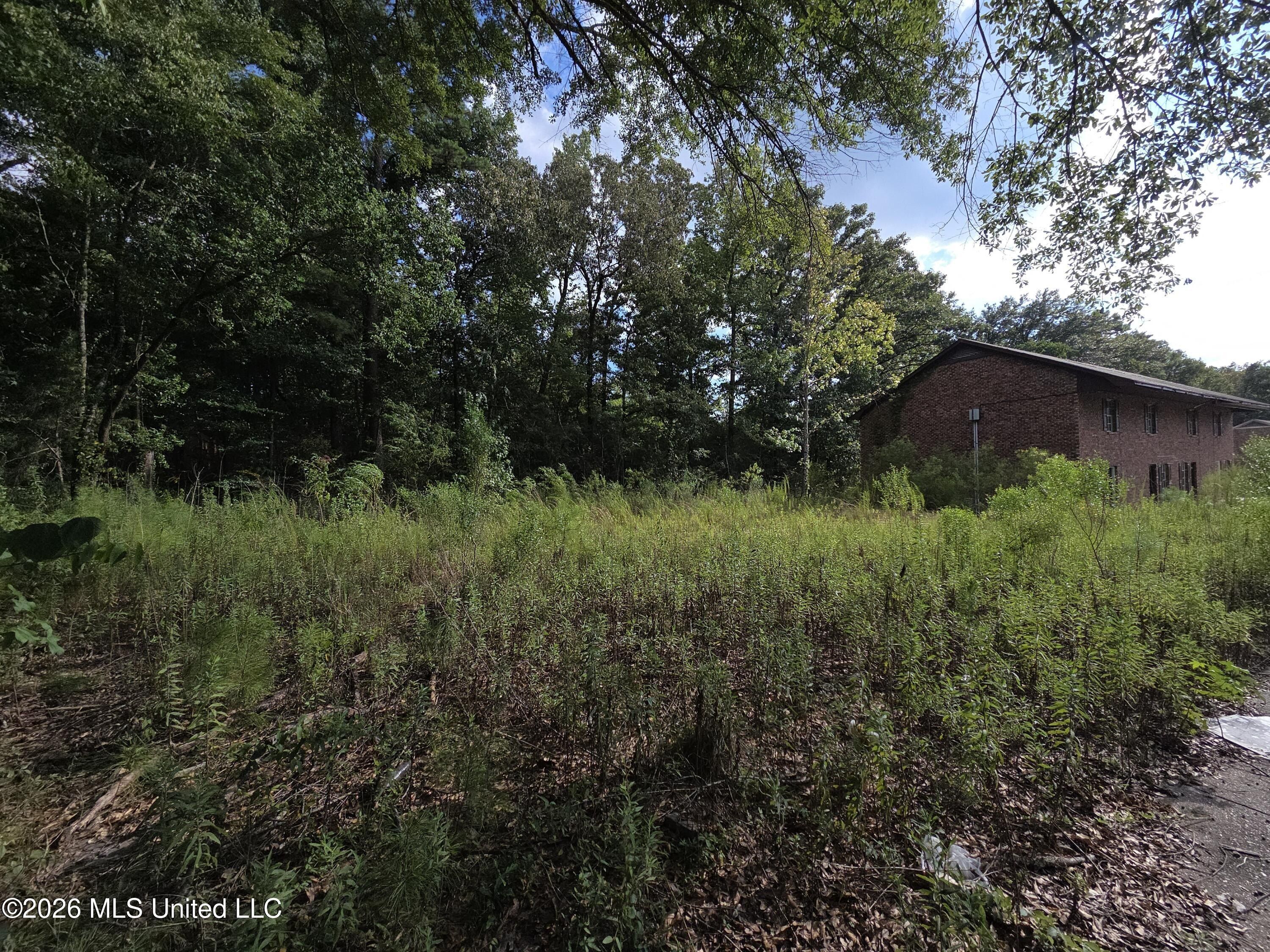 124 Plantation Boulevard Lot B. Hattiesburg, MS 39401