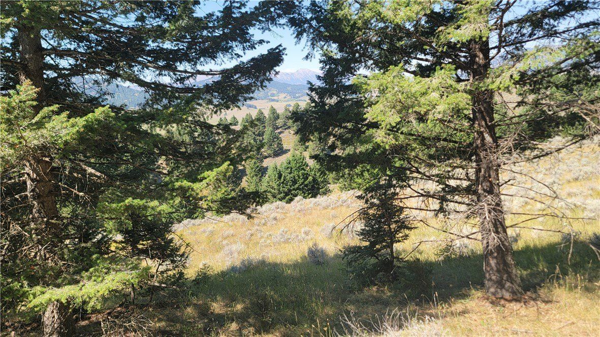 739760 Woodchuck Road. Bozeman, MT 59715