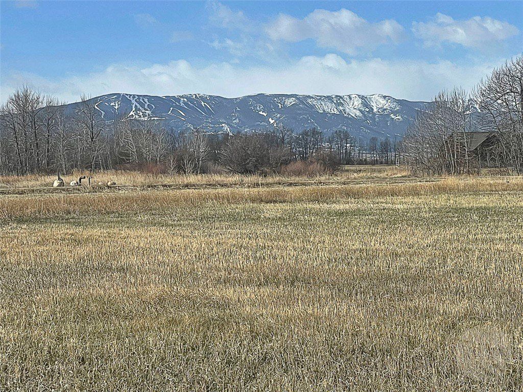 48 Buttercup Drive. Roberts, MT 59070