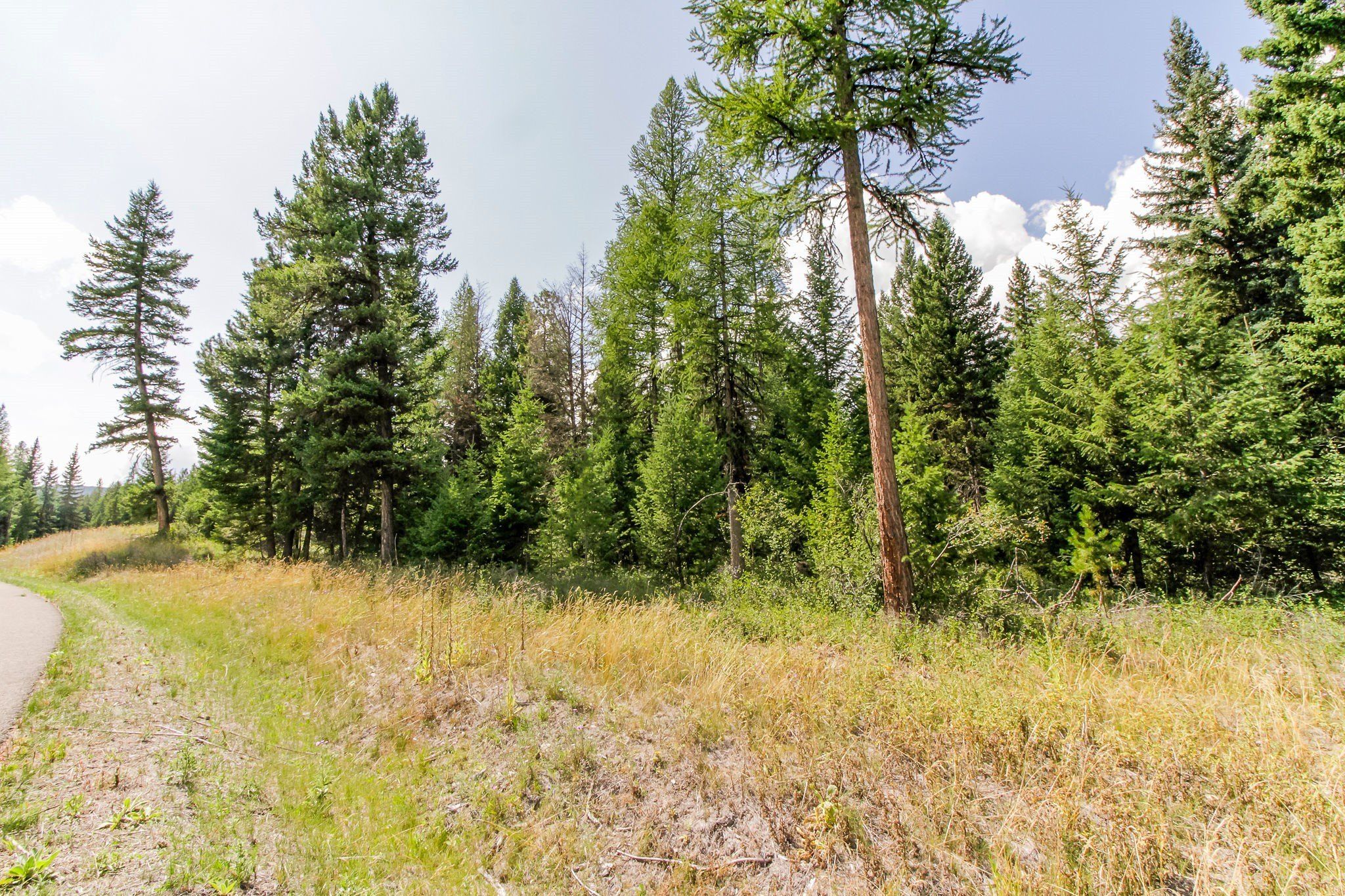 517 Haskill Ranch Road. Kila, MT 59920