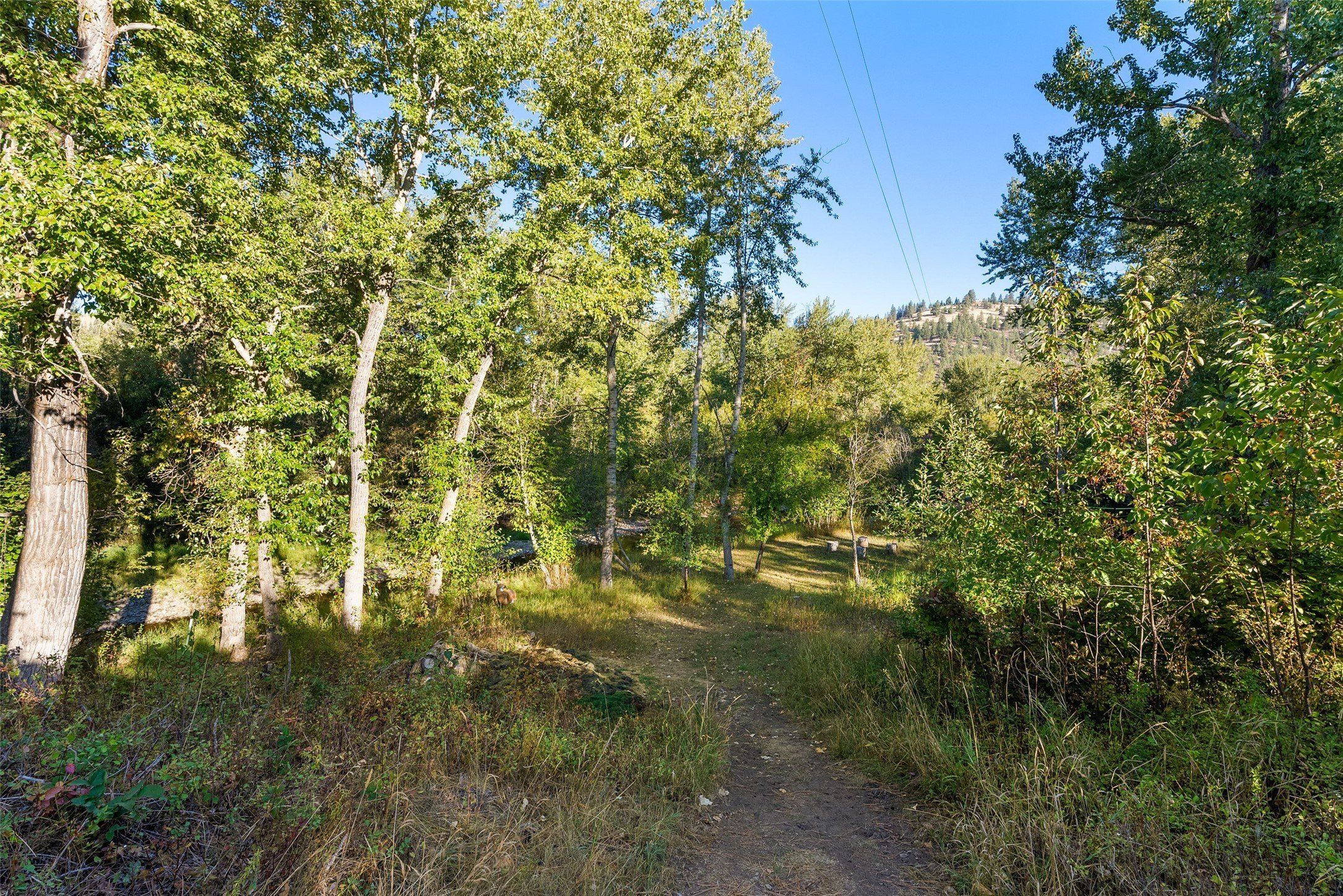 Vann Drive. Lolo, MT 59847
