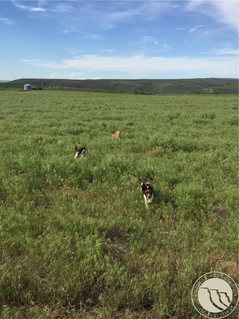 170 E Pryor Road. Edgar, MT 59026