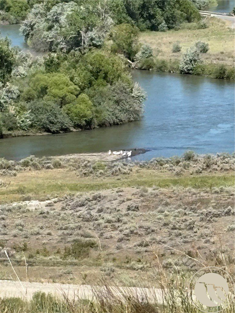 170 E Pryor Road. Edgar, MT 59026