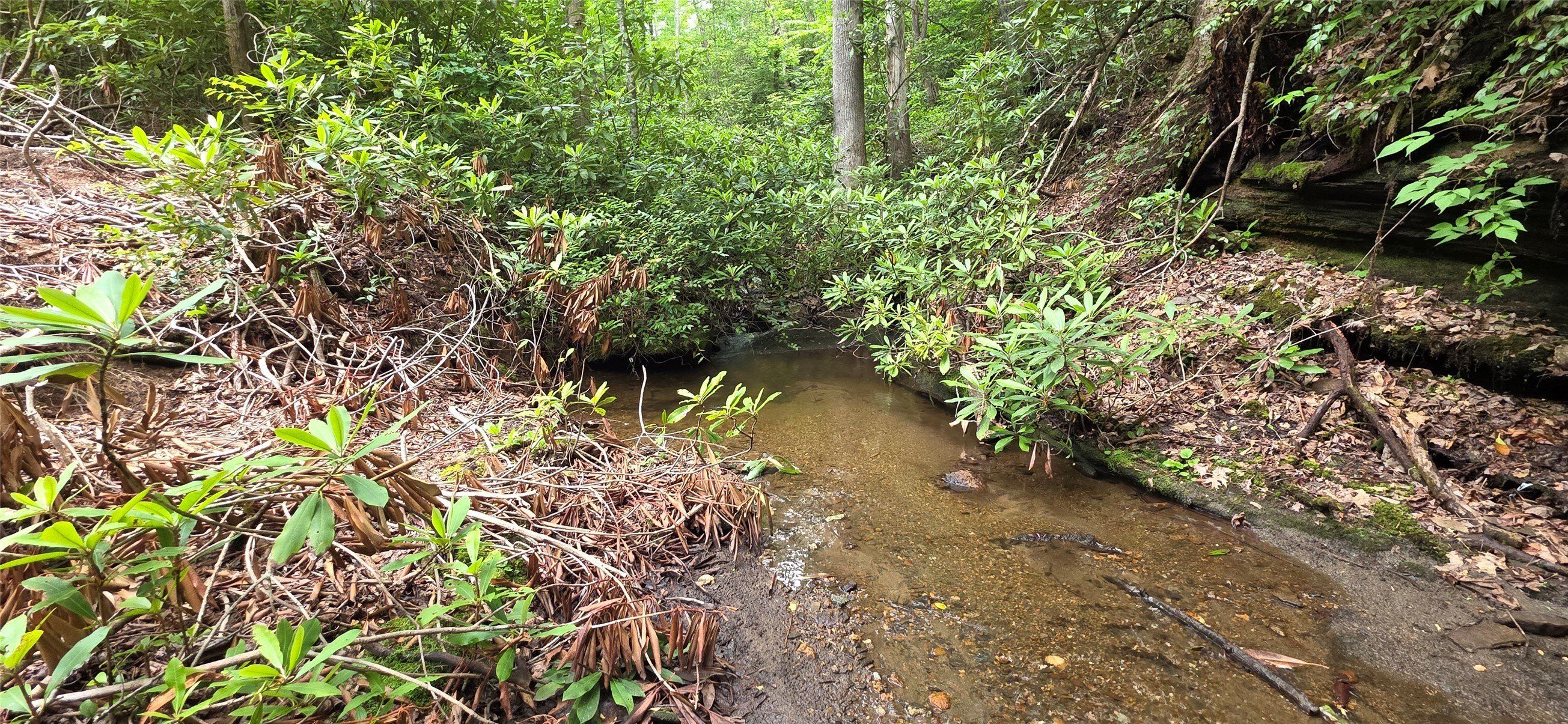 1925 Black Oak Drive Lot 63. Sapphire, NC 28774