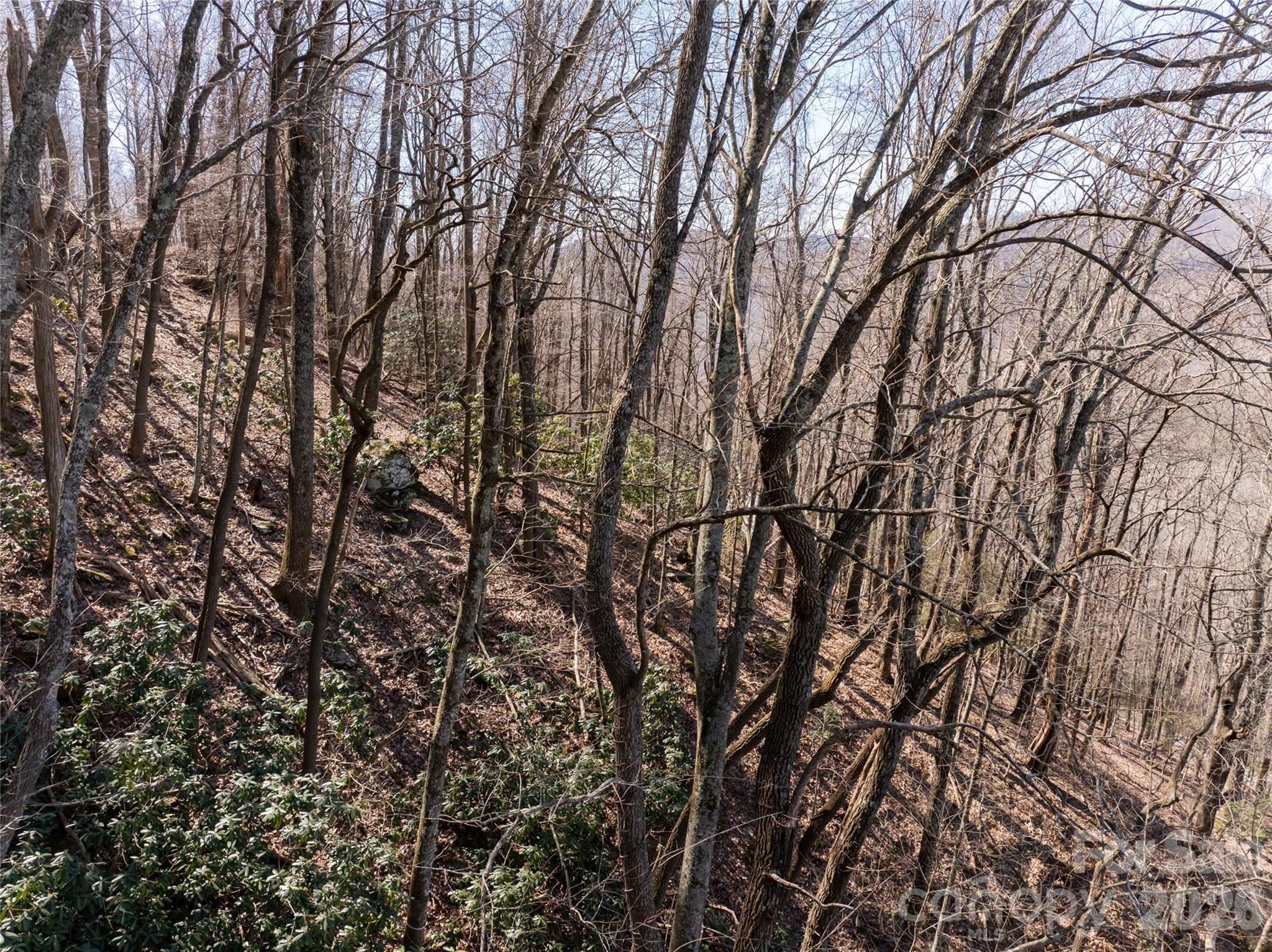 99999 Laurel Drive. Mills River, NC 28759