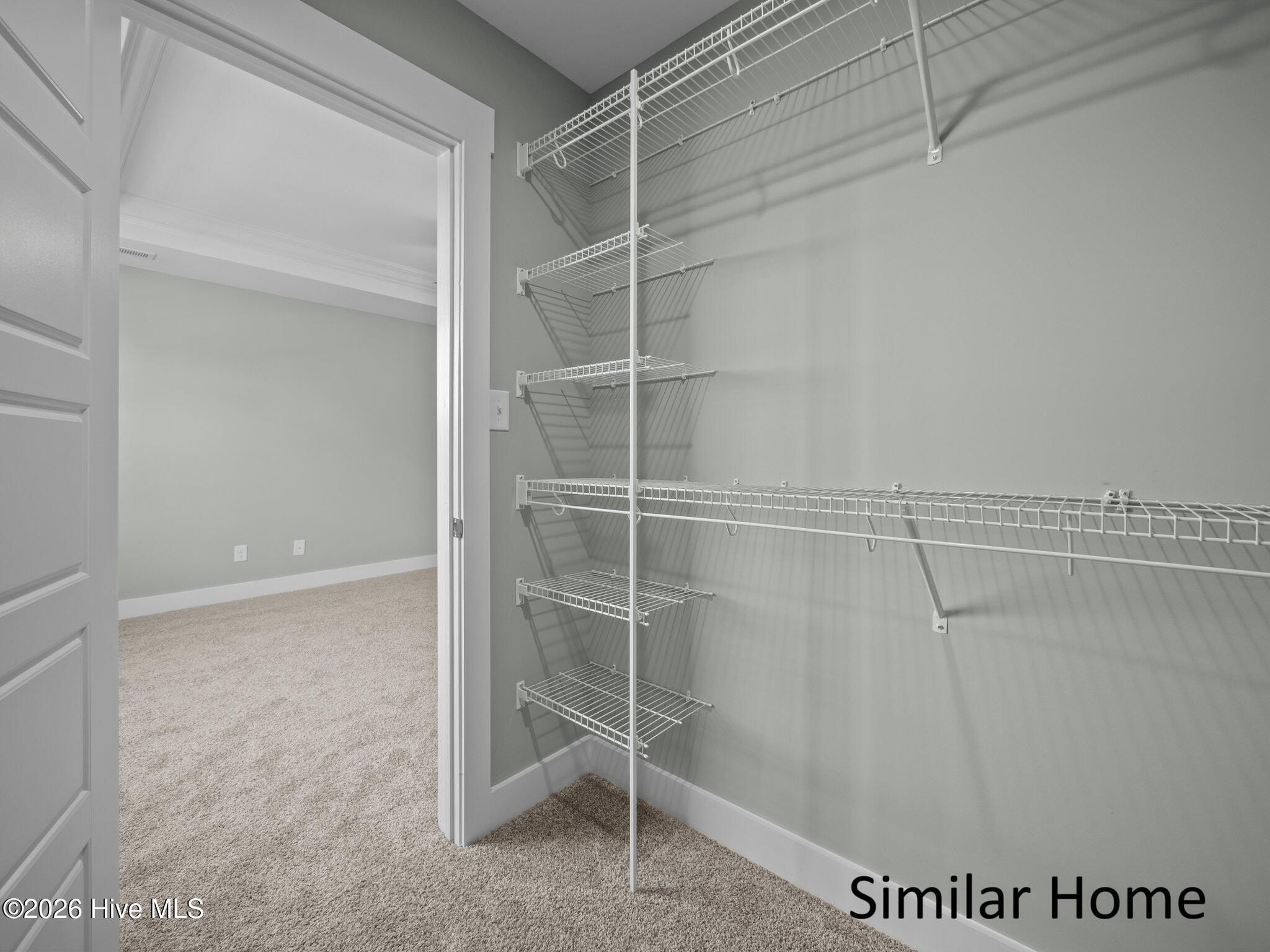 631 Uwharrie Lane. Jacksonville, NC 28546