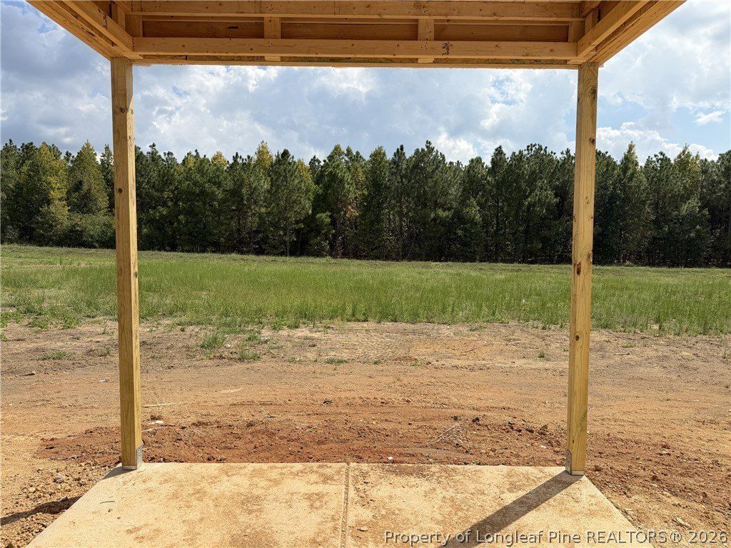 411 Thorntons Creek Drive. Erwin, NC 28339