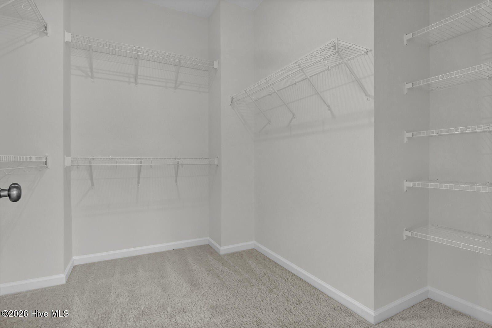 613 Dressage Way. Wilmington, NC 28411