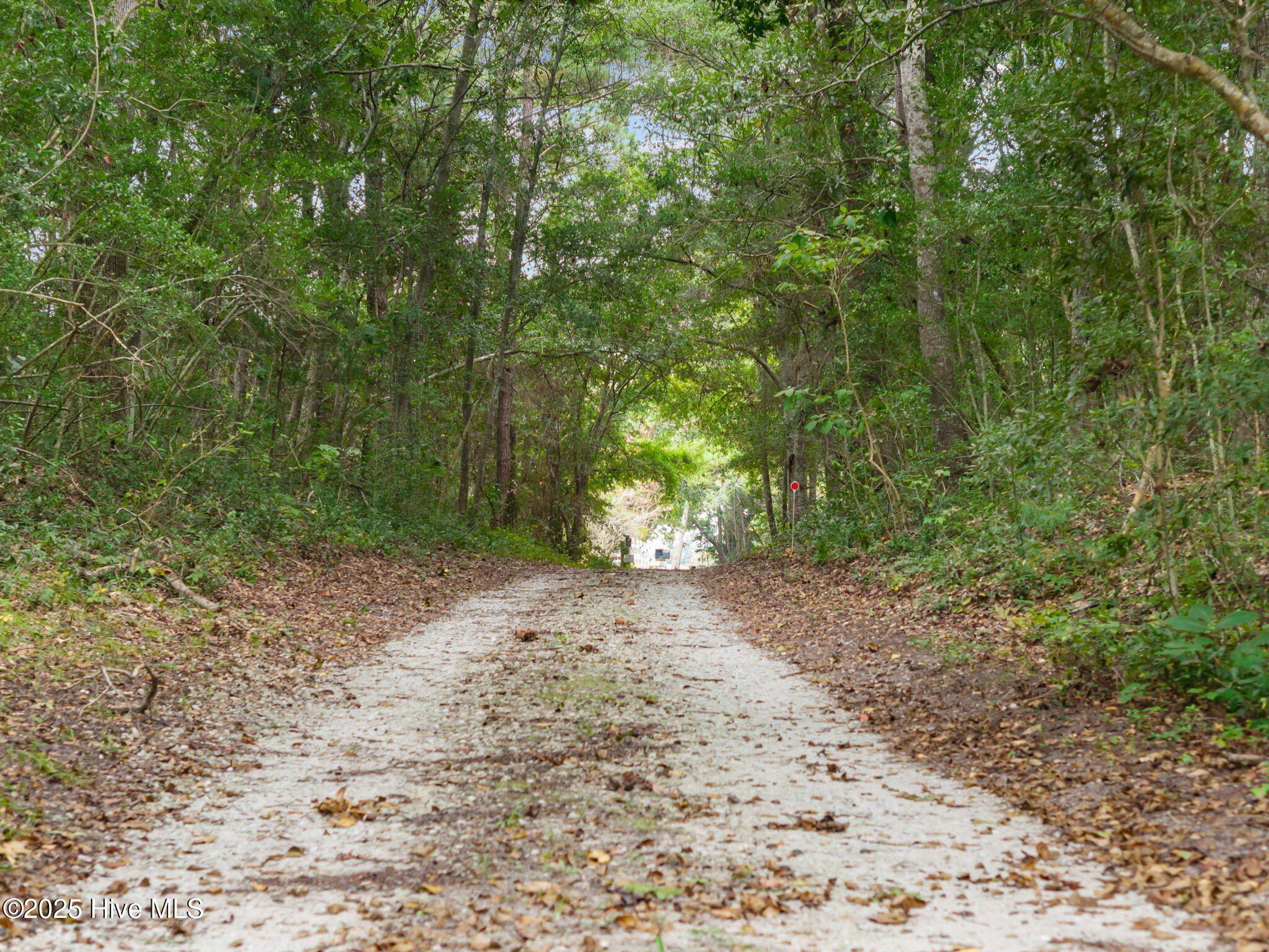 128 Missie Cove Lane. Sneads Ferry, NC 28460