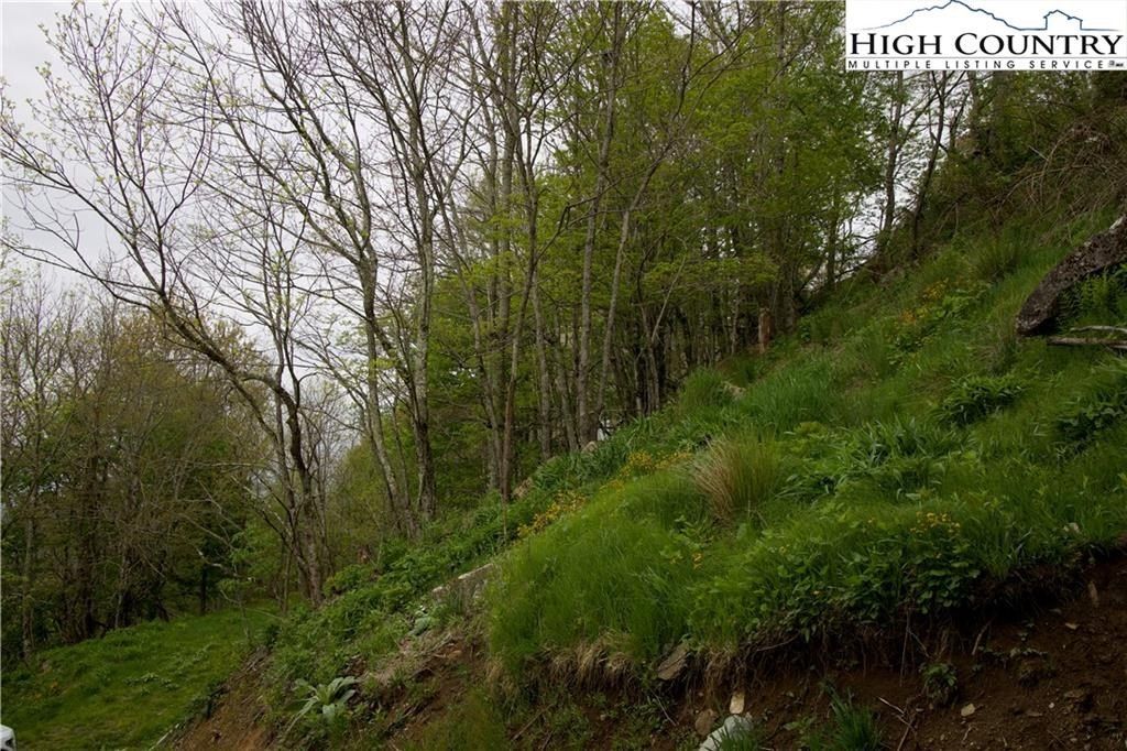 27 Fox Run Road. Banner Elk, NC 28604