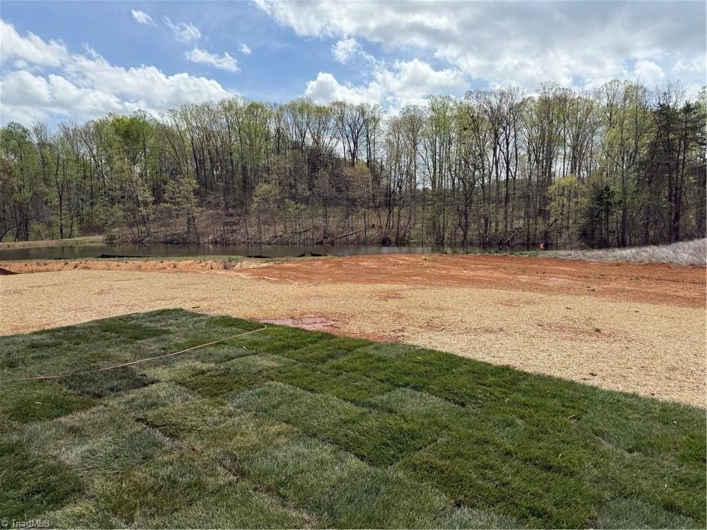 1629 Birtwick Park Street. Kernersville, NC 27284
