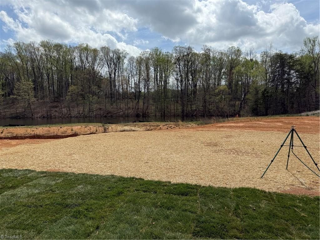 1633 Birtwick Park Street. Kernersville, NC 27284
