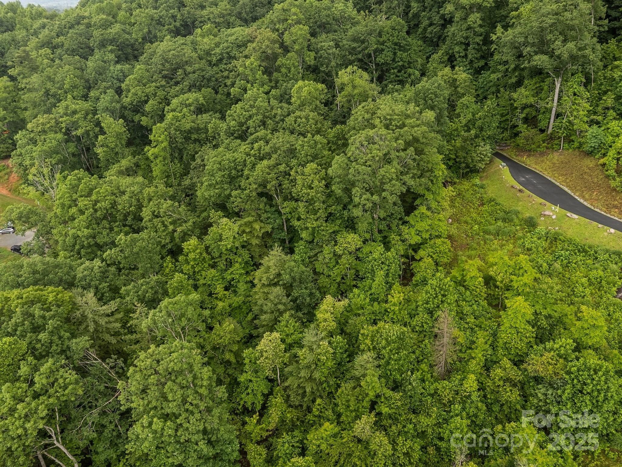 W12 Curtain Bluff. Hendersonville, NC 28791