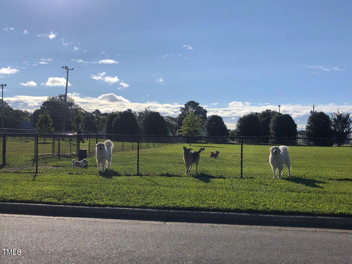 333 New Twin Branch Court. Smithfield, NC 27577