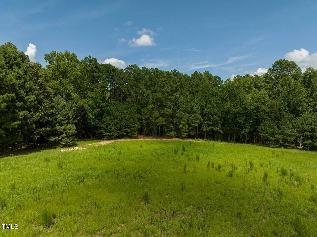 197 Lakeside Drive. Chapel Hill, NC 27517