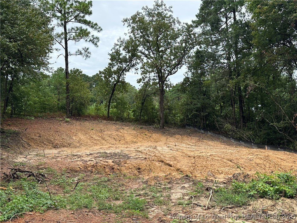 1704 Arrow Ridge Way. Fayetteville, NC 28304