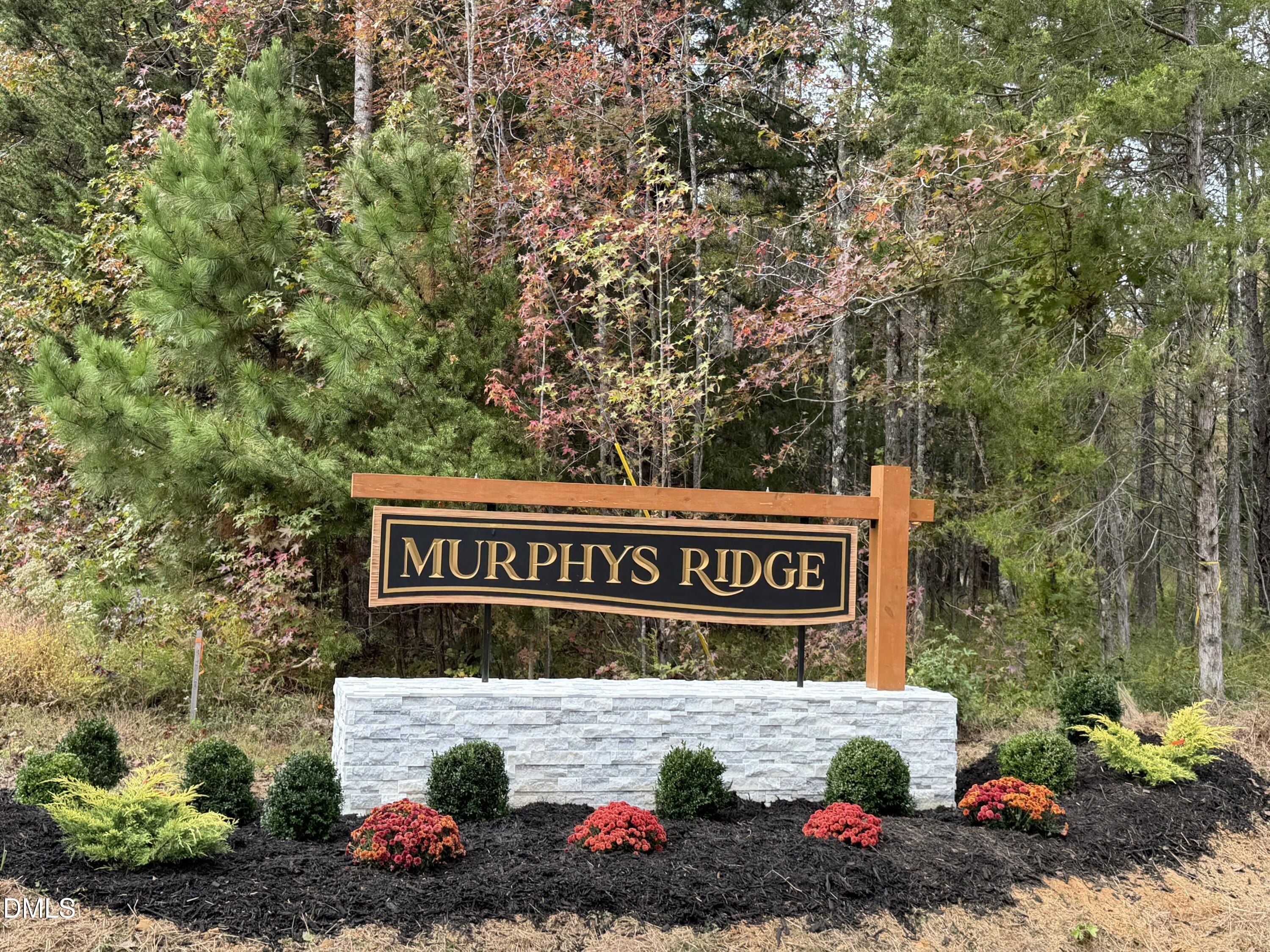 4455 Poppy Mallow Lane. Stem, NC 27581